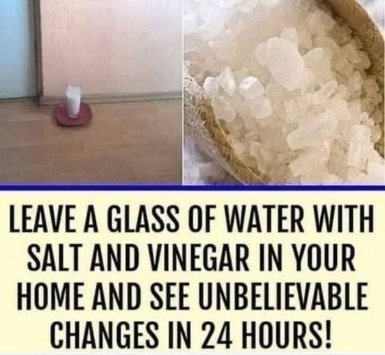 A Simple Trick for a Fresher Home: Vinegar, Salt, and Water