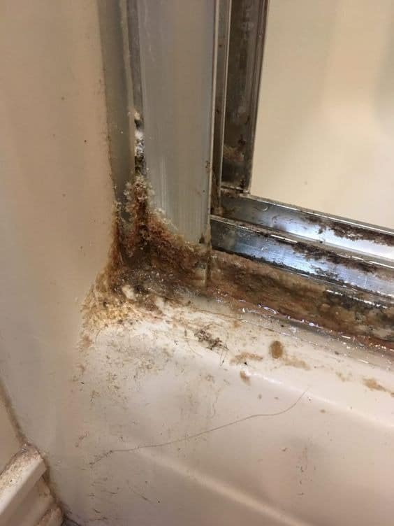 How to clean your shower doors with 2 simple ingredients.