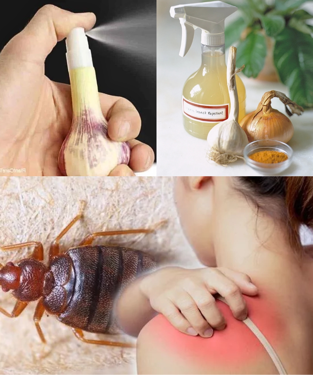 Bed Bugs in Your Sheets? This Beloved Ingredient Will Make Them Disappear Instantly