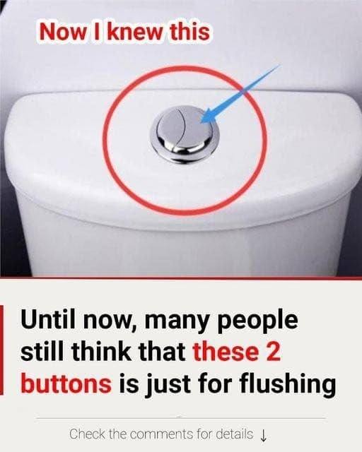 Many people still believe that these two buttons are only for flushing