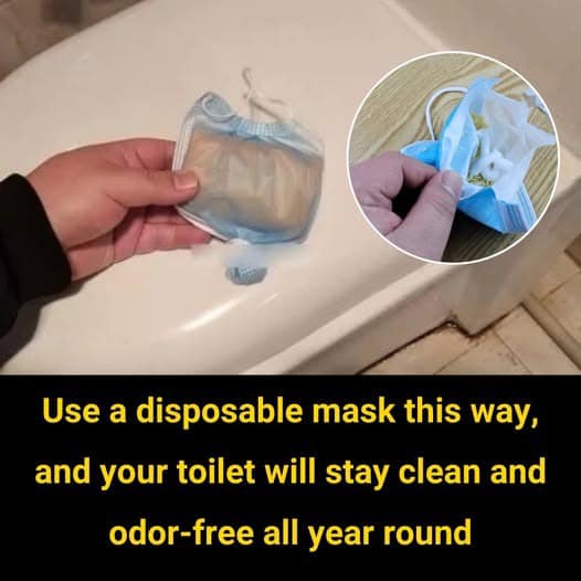 Keep your toilet hygienic