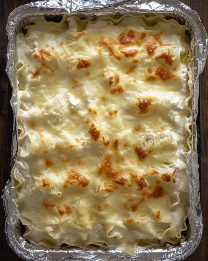 Creamy White Sauce Chicken Lasagna