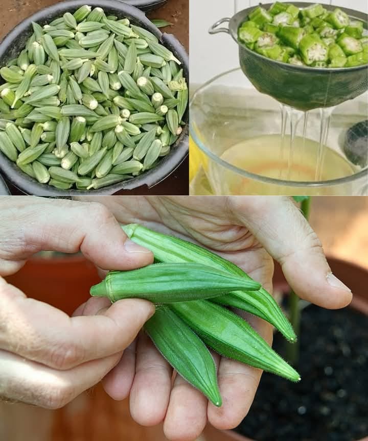 12 Things to Know About Okra