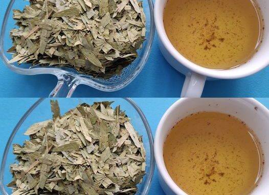 The Best Natural Remedy for Constipation and Flatulence: Senna Tea