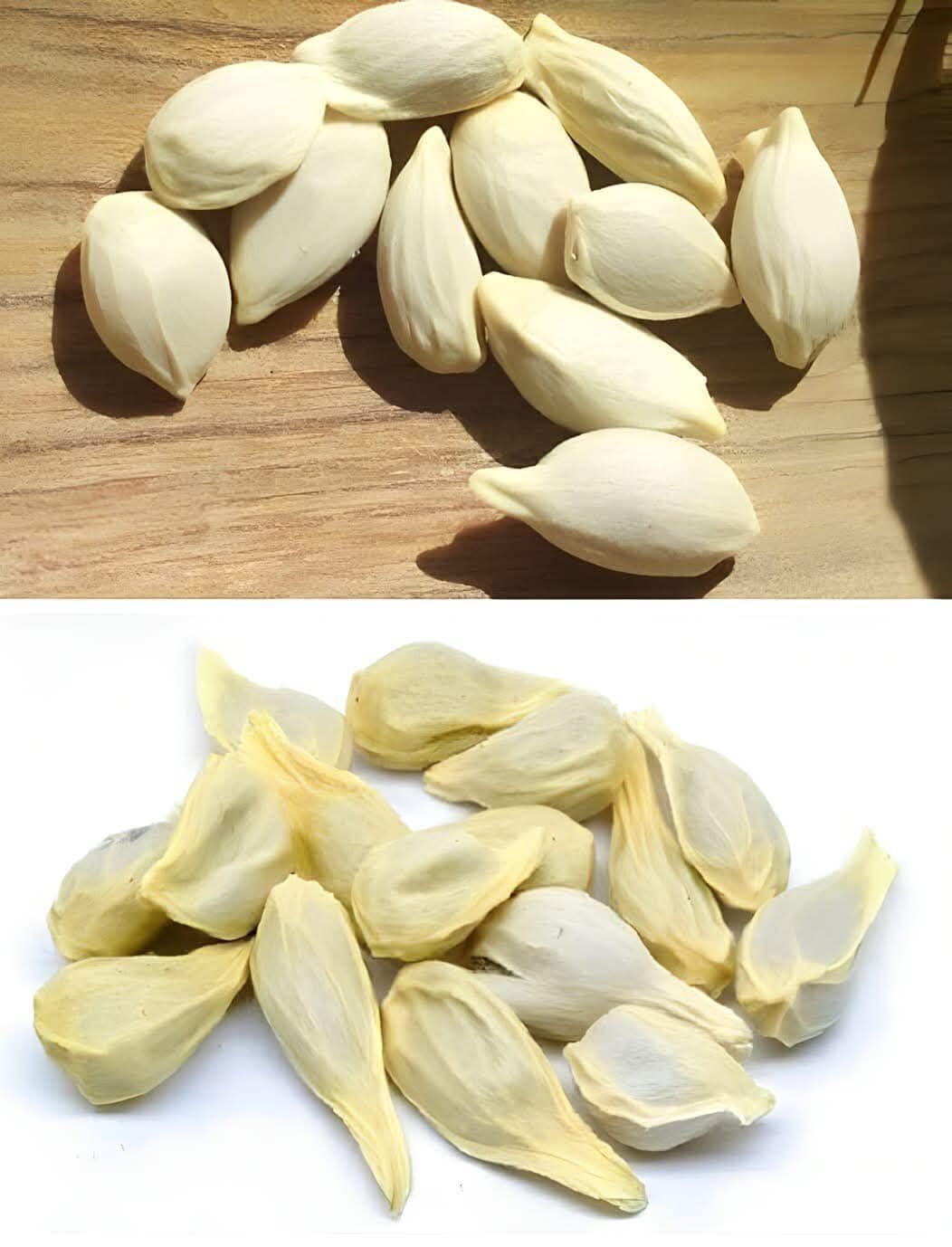 Unlock the Power of Lemon Seeds: 5 Amazing Uses