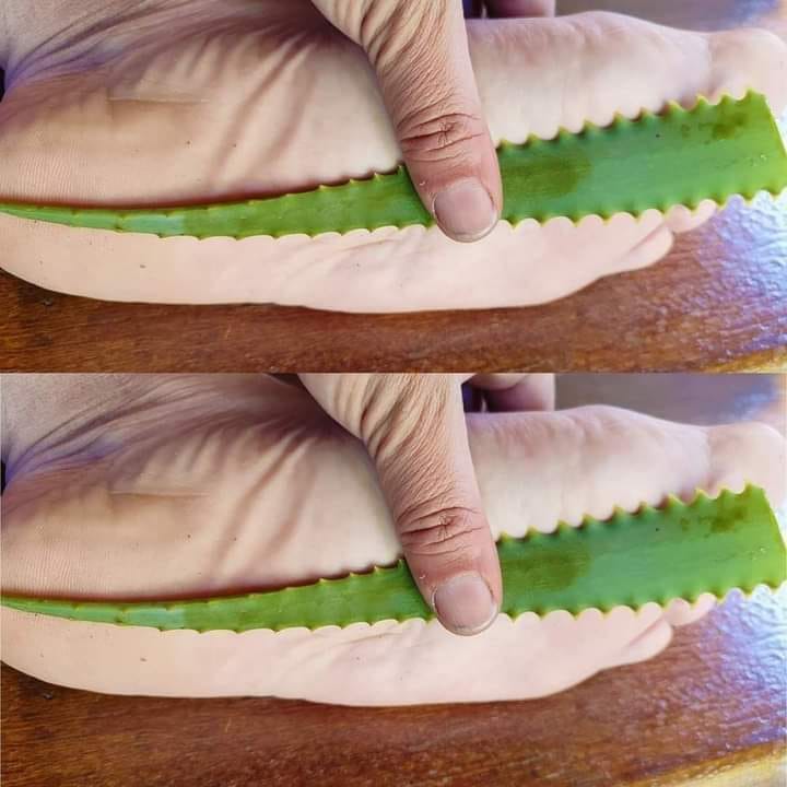 The Natural Power of Aloe Vera: Soothing Foot Care at Home