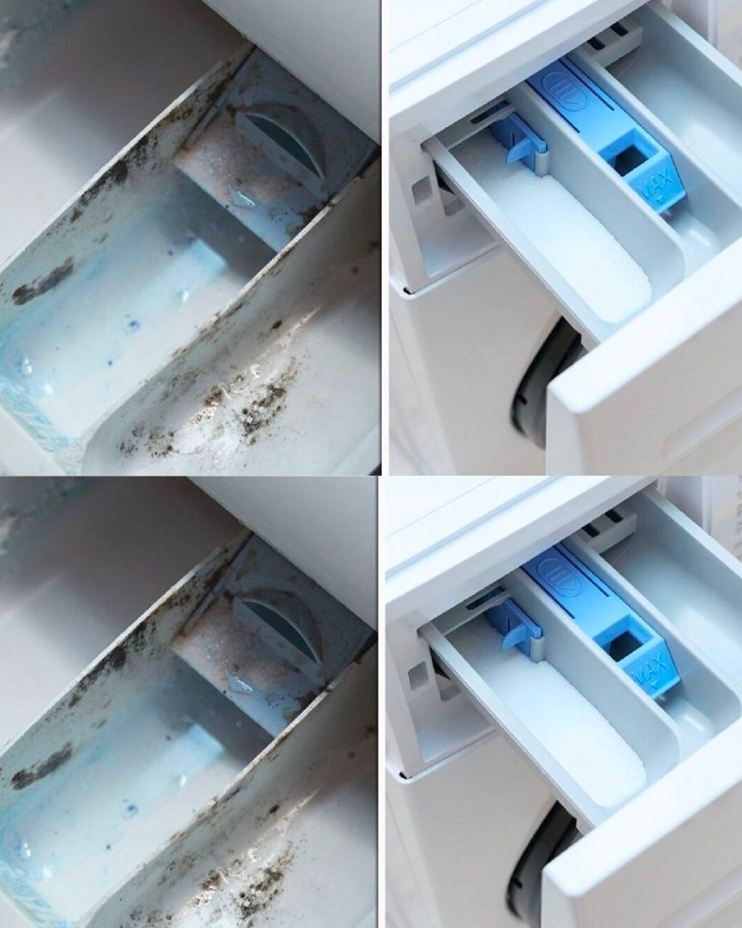 Mold in the Washing Machine Drawer: Why It Forms and How to Get Rid of It