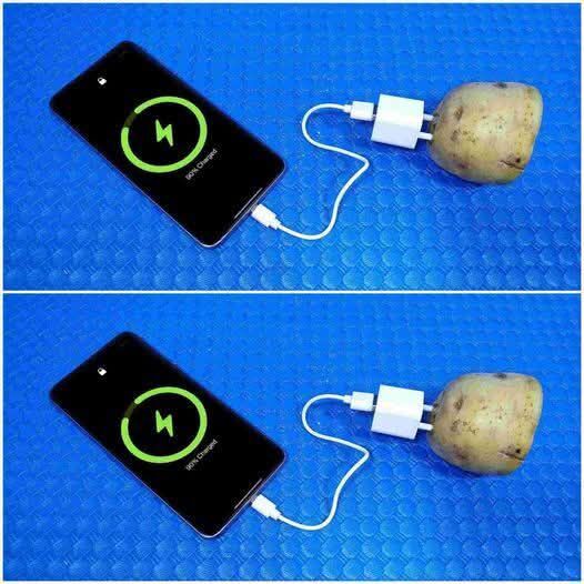 How to Generate Free Electricity with a Potato (Charge Your Phone!)