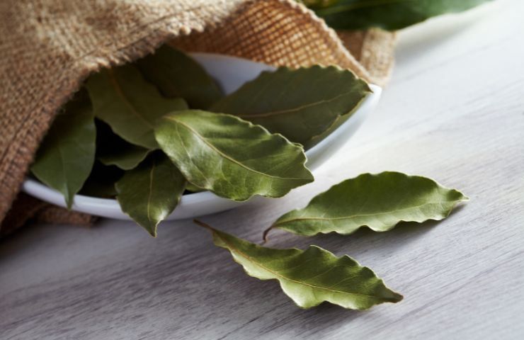 Put some leaves behind the door and you’ve solved a problem that we all have at home