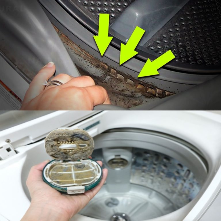 How to clean your washing machine naturally: fast and cheap methods