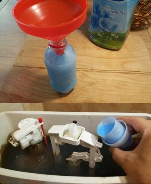 Because I pour softener into the toilet tank: an Italian aunt’s trick