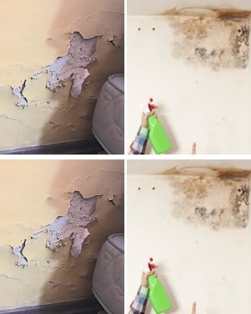 How to remove moisture from walls so it never comes back