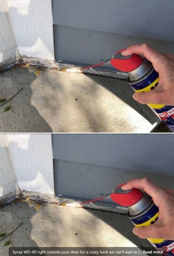 Title: Amazing WD-40 Doorway Hack: Keep Your Home Clean and Bug-Free