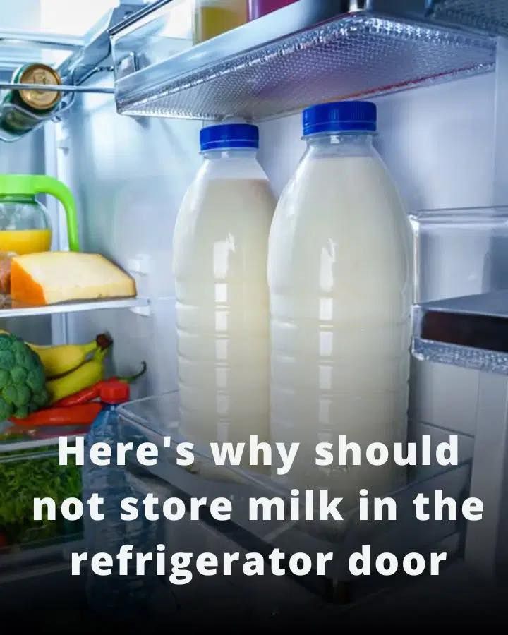 Here’s why shouldn’t store milk in the fridge door