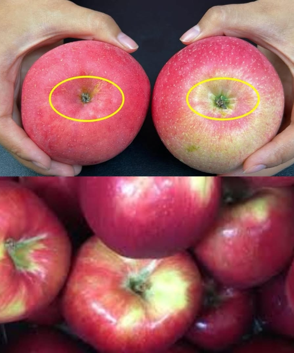 Tips for Selecting the Best Apples! One Second to Identify Crispy and Sweet Varieties