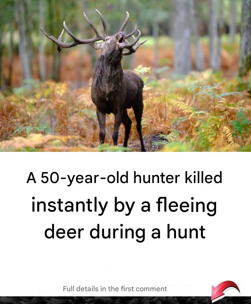 50-year-old hunter killed instantly by runaway deer during a beat