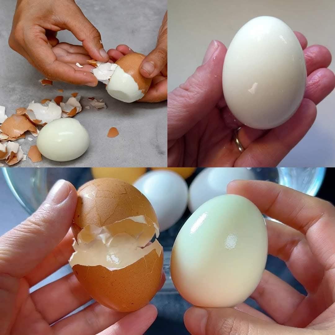 Stop Boiling Eggs the Wrong Way – This Trick Changes Everything!
