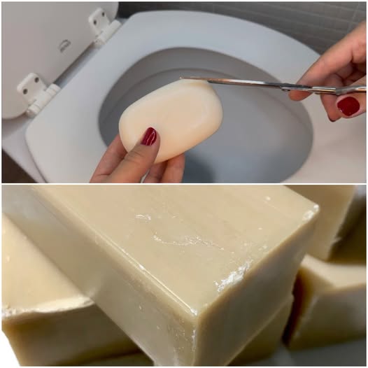 Cut the Soap and Thank Me Later – A Brilliant Trick for a Fresh-Smelling, Sparkling Toilet!