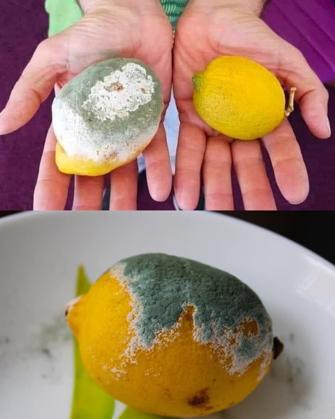 The One Mistake We All Make With Lemons: The Simple Trick To Keep Them Fresh and Mold-Free