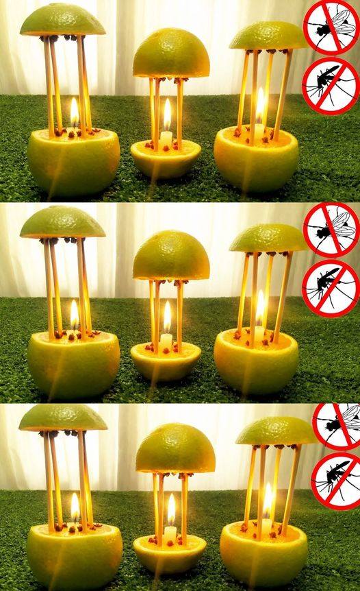 With this product you not only perfume your home, but the mosquitoes will never come back