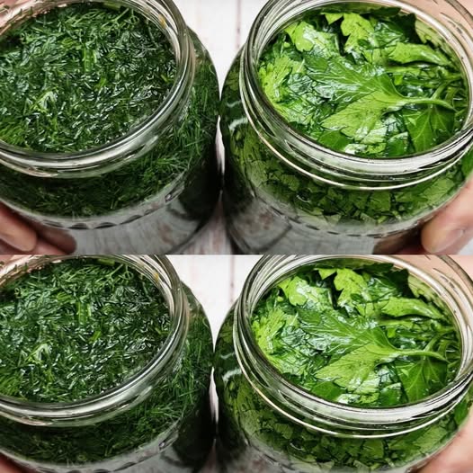 Preserve the flavor and aroma of fresh herbs. How to prepare dill and parsley for future use