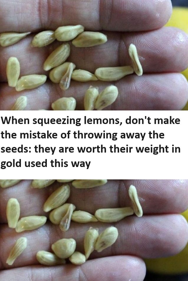 When squeezing lemons, don’t make the mistake of throwing away the seeds: they are worth their weight in gold used this way.
