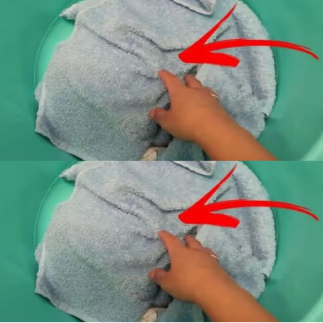 Simple tips to eliminate mold odors in the bathroom
