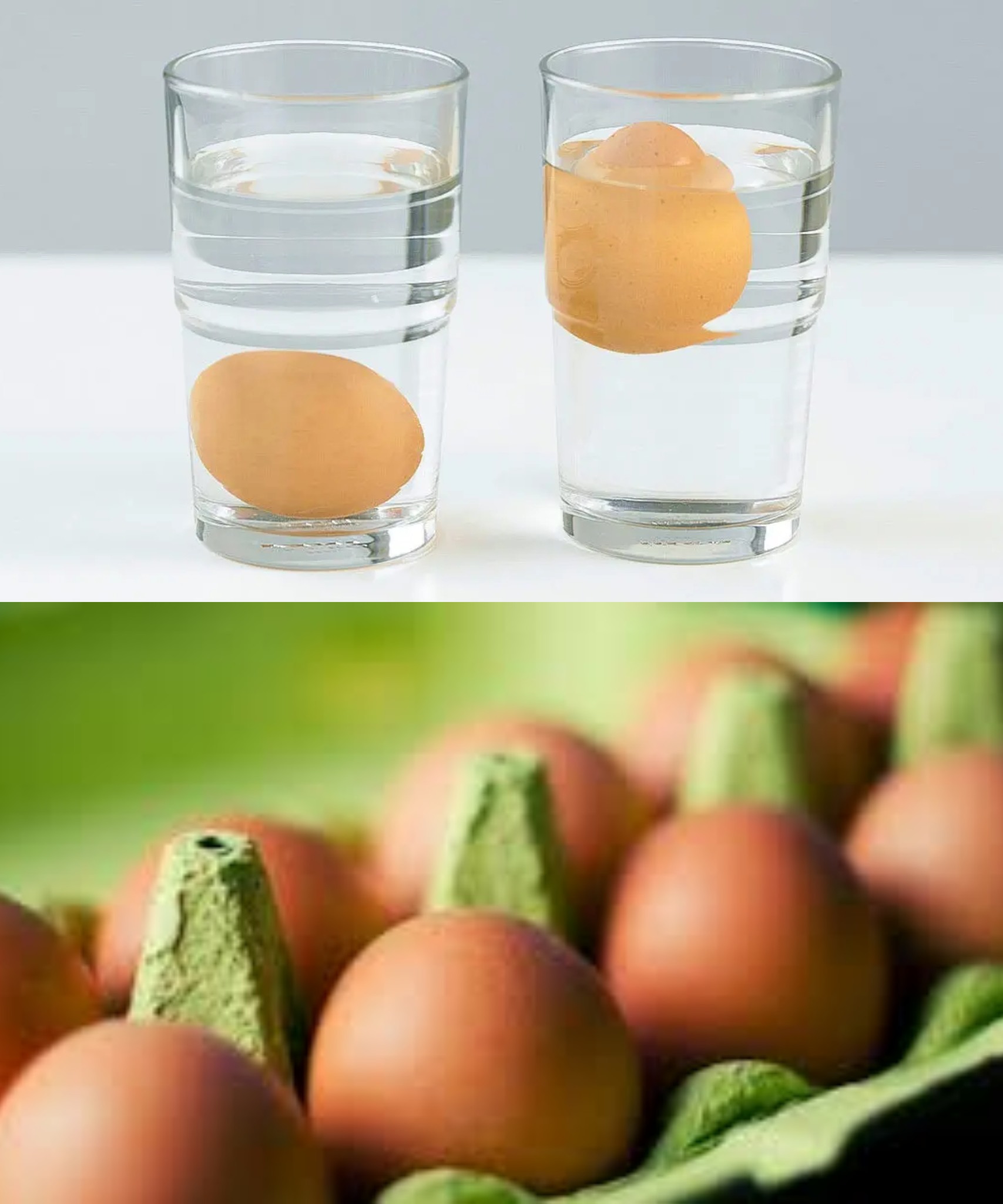 After buying eggs, bring them home: I regret not getting this advice sooner!