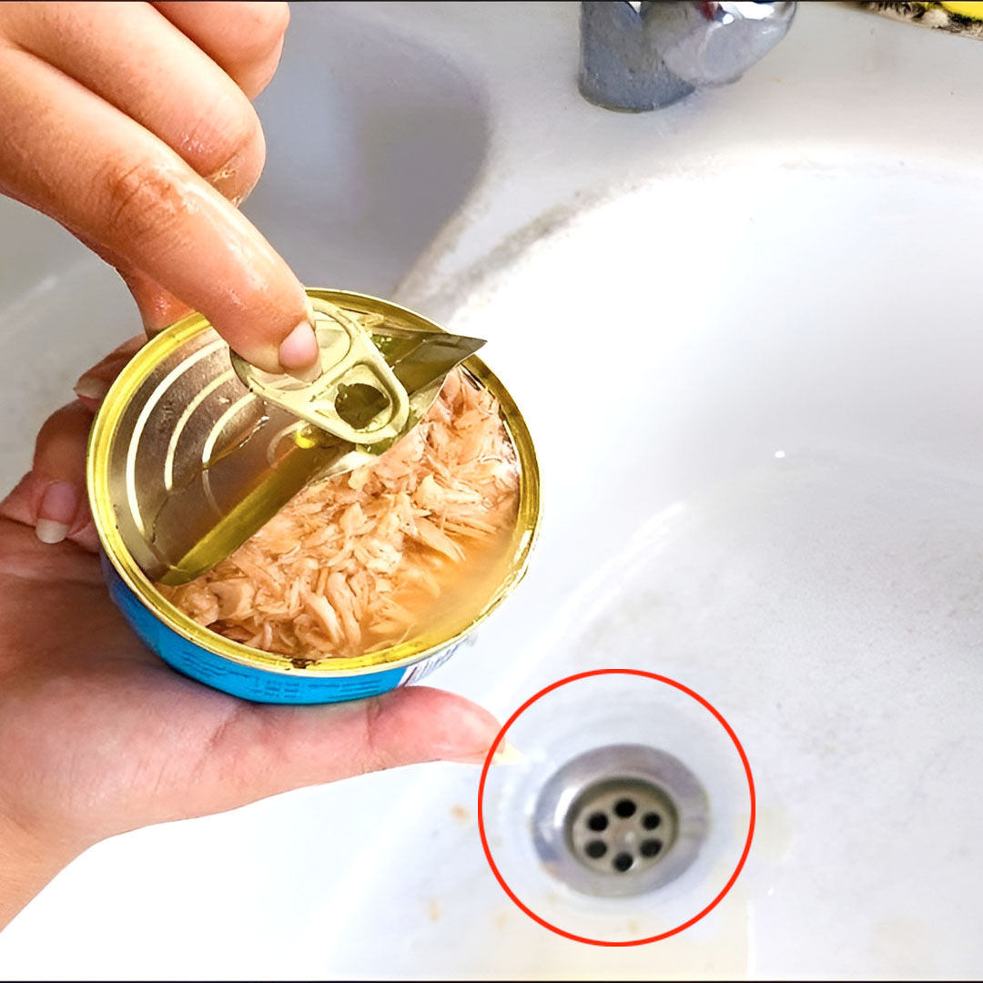 Why we should no longer throw the oil from cans of tuna down the kitchen sink?