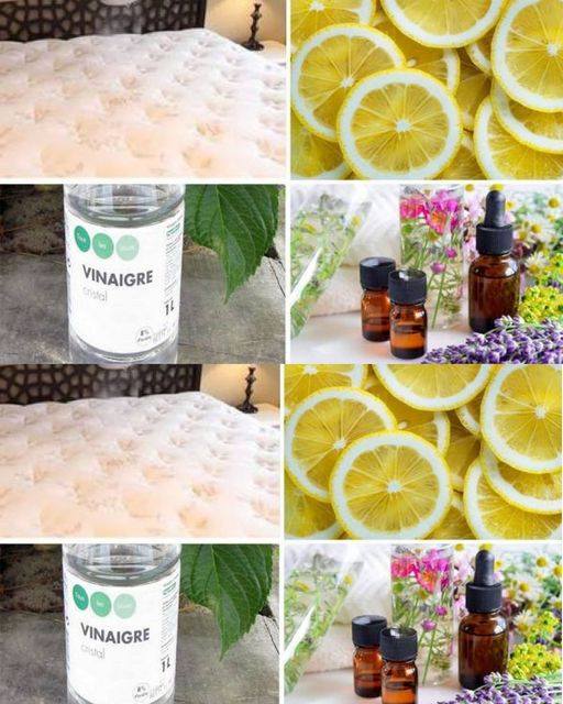 Cleaning Pee on a Mattress: 4 Effective Solutions Only polite members will say thank you