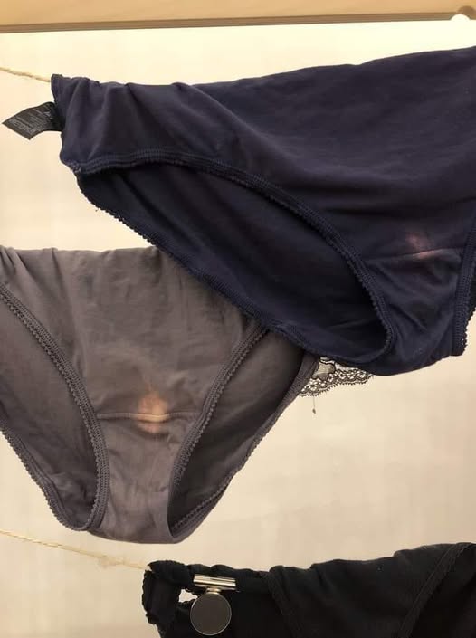 MY NEIGHBOR KEPT HANGING OUT HER PANTIES RIGHT IN FRONT OF MY SON’S WINDOW – SO I TAUGHT HER A REAL LESSON.
