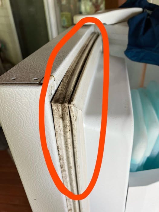 How to clean mold from fridge door?