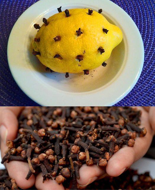 Mixing Lemon and Cloves: The Secret No One Will Ever Tell You
