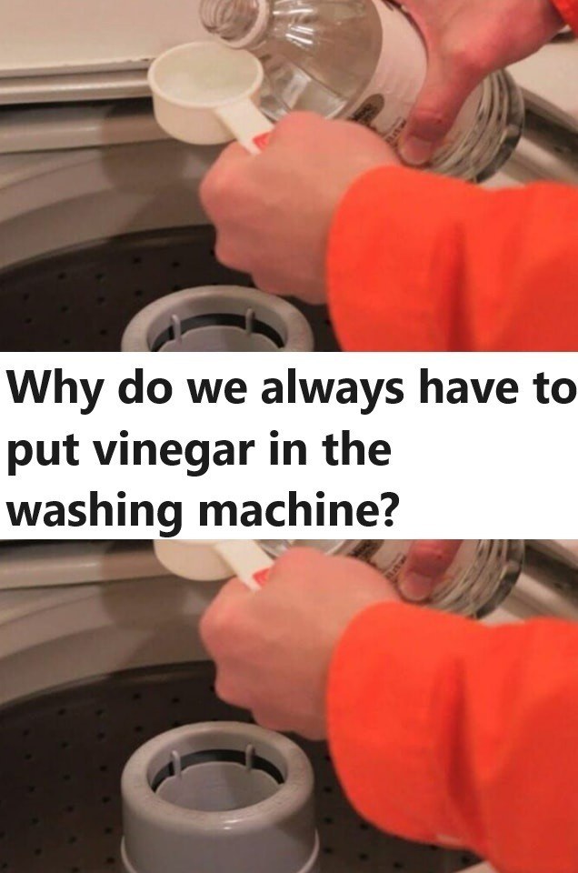 Why do we always have to put vinegar in the washing machine?