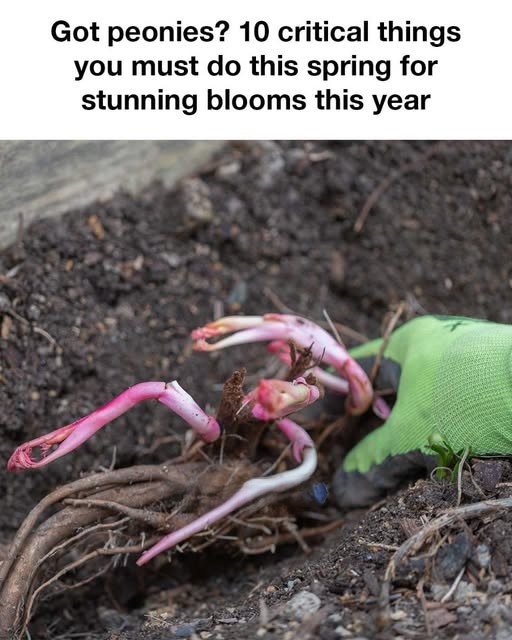 I had no idea about this