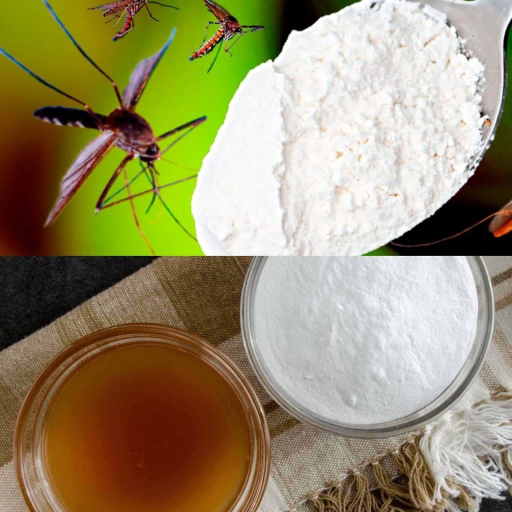 Mosquitoes disappear in just 1 minute forever! Best Free Organic Recipe!