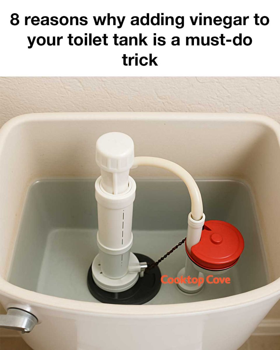 8 reasons why adding vinegar to your toilet tank is a must-do trick