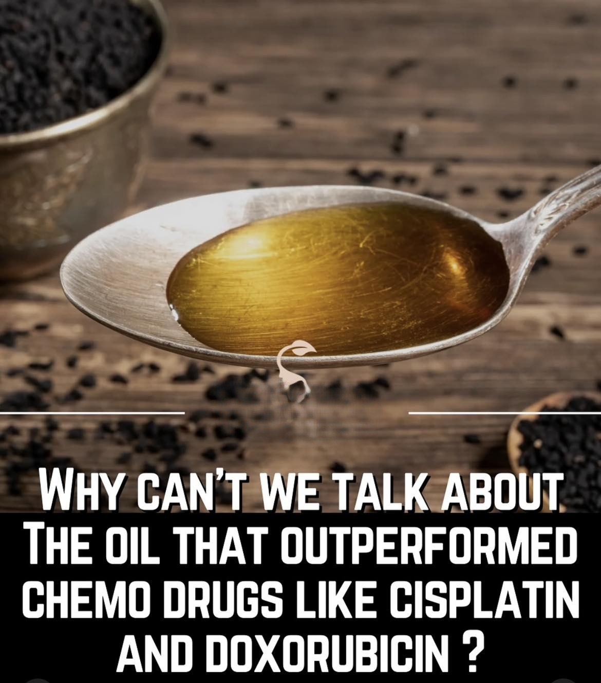 This Ancient Oil Outperformed Chemo in Lab Tests – And Most People Still Don’t Know About It