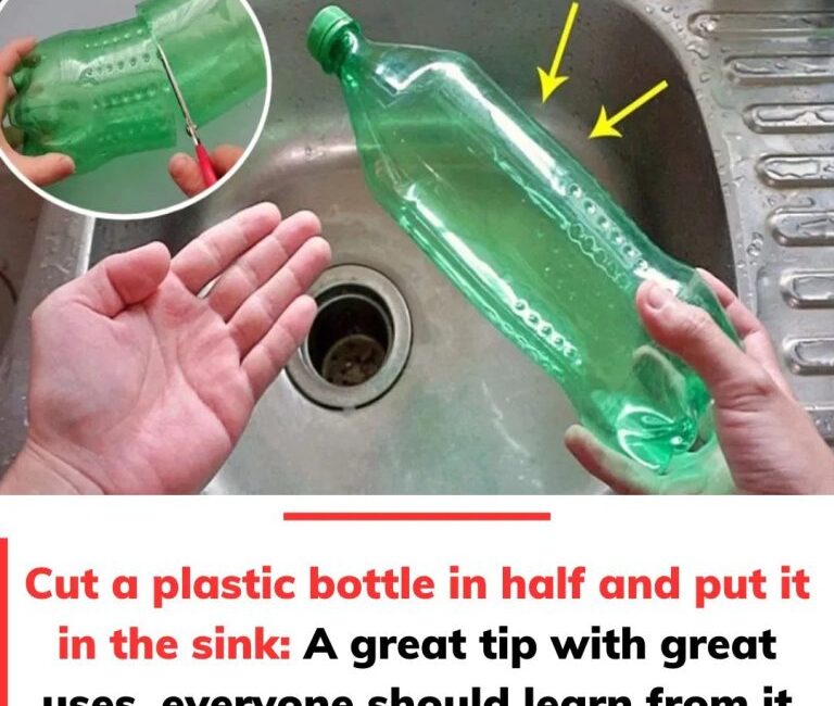 Cut the Plastic Bottle in Half and Place It in the Sink: A Creative and Eco-Friendly Solution
