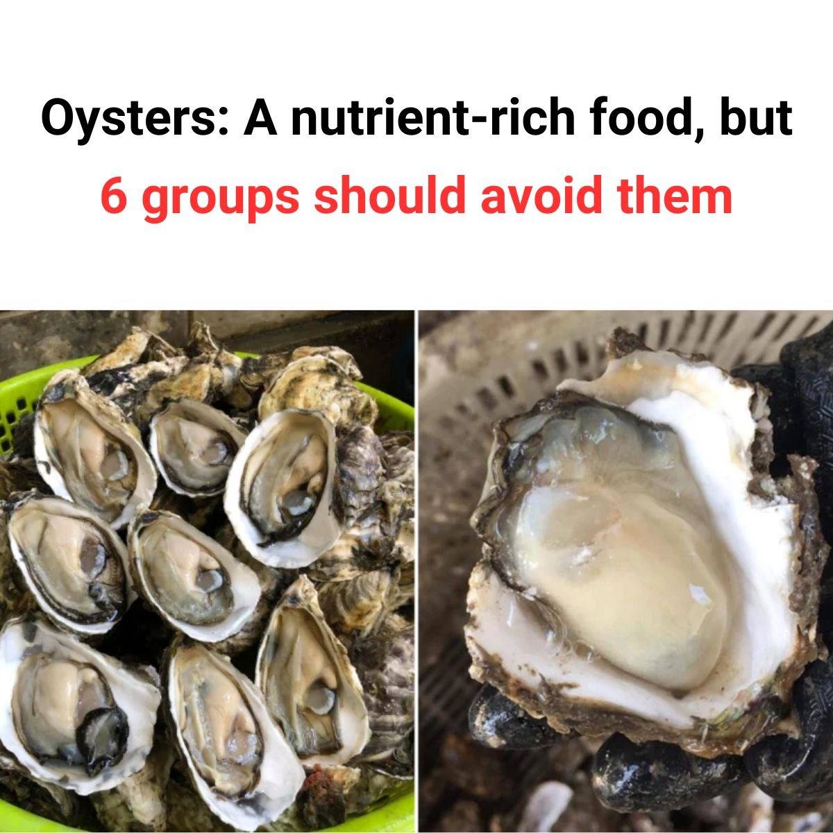 Oysters: A Nutrient-Rich Food, But 6 Groups Should Avoid Them