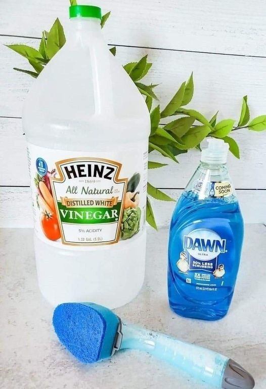 DIY Shower Cleaner