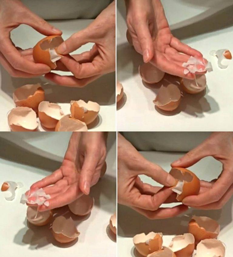 Egg membrane – a natural remedy for healthy joints, wounds, burns, acne, boils and a bunch of diseases