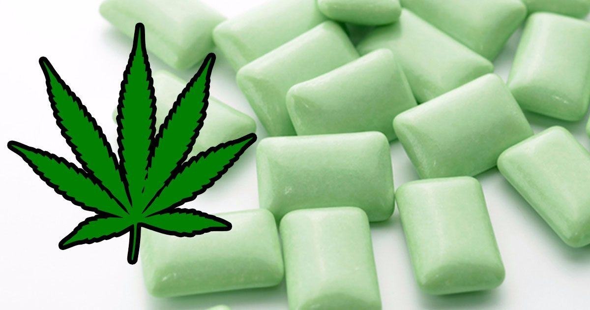 Would you try Marijuana gum for pain relief?