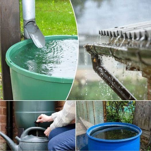 Be careful when recovering rainwater, you risk a fine of 1500 euros if your tank is not