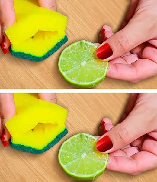 Why do smart housewives put lemon in the sponge for washing dishes? Change everything