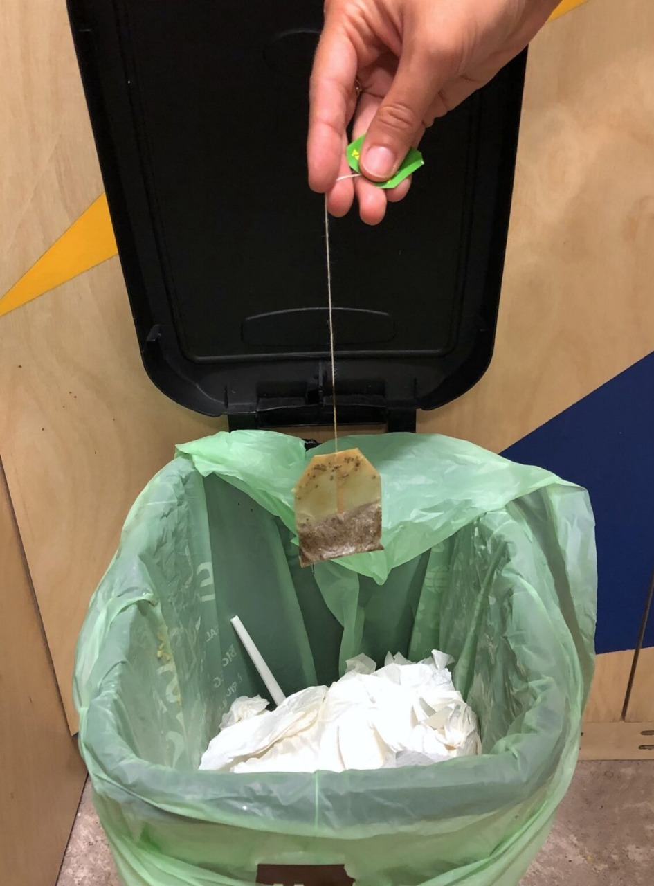 The Correct Way to Dispose of Tea Bags