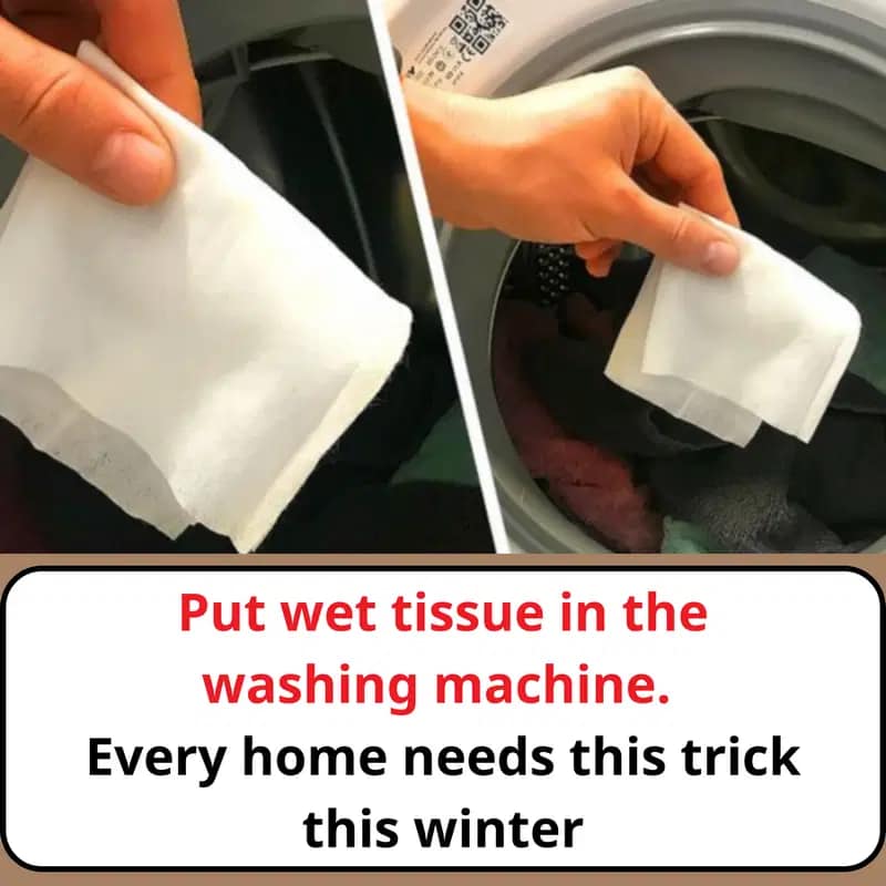Unexpected benefits of putting wet towels in the washing machine