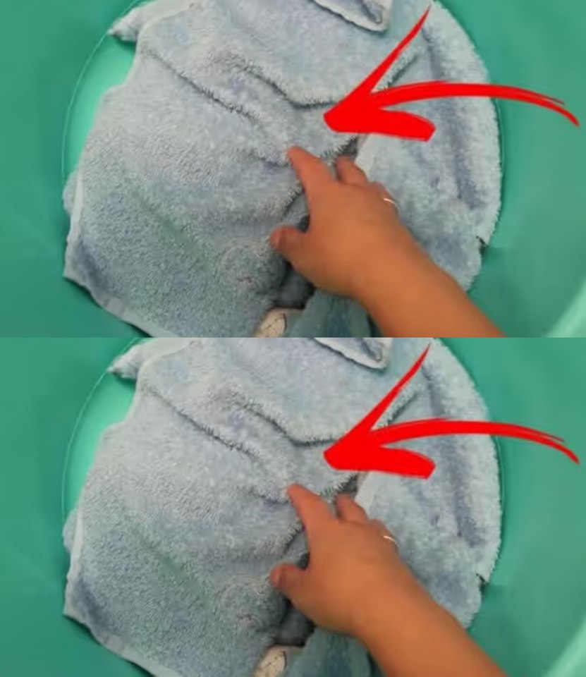 Simple Tips to Eliminate Musty Odors in the Bathroom