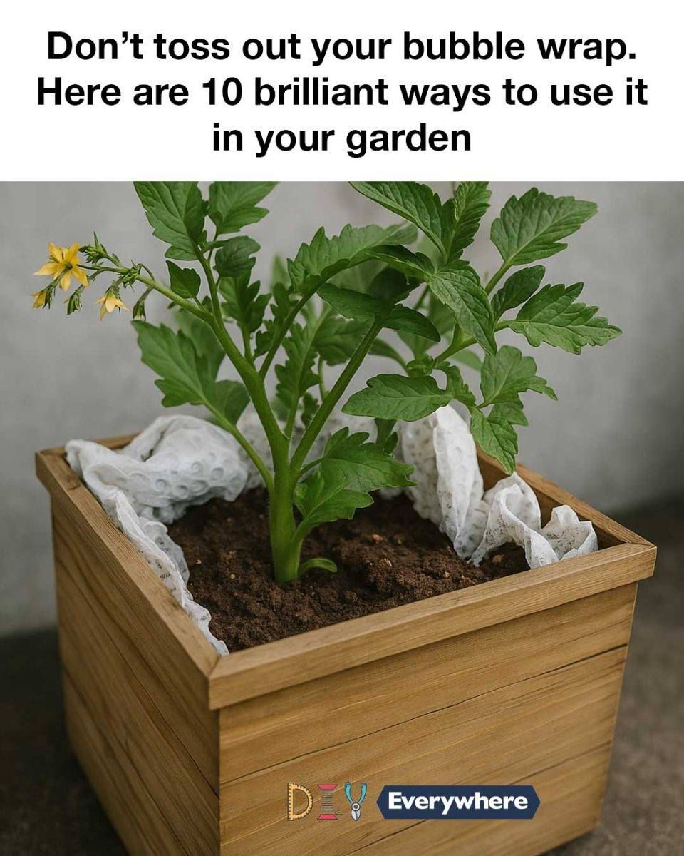 Don’t toss out your bubble wrap. Here are 10 brilliant ways to use it in your garden