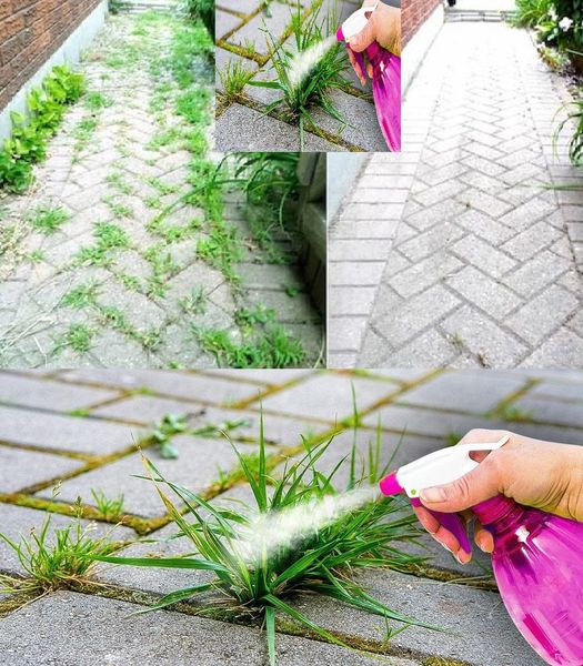 Homemade Weed Killer: With Only 3 Ingredients, Costs Less Than 90 Cents